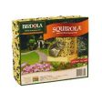 Birdola Squirola Cake Online Sale