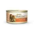 Nature s Variety Instinct Salmon Formula Feline 24-3 Oz Online Sale