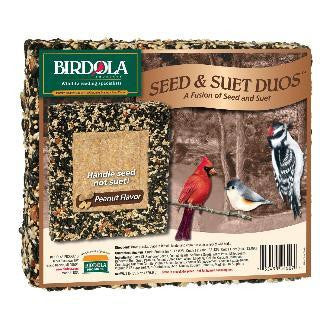 Birdola Peanut-Raisin Suet For Discount