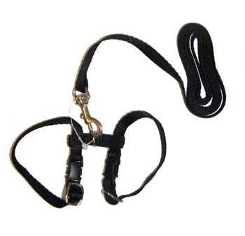 Marshall Pet Harness-Lead Set - Black For Cheap