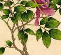 Rose Flower (18th Century)  Illustration Art Ready to Hang Colorful Flower Drawing Antique Wall Decor Roll Down Canvas Scroll Discount