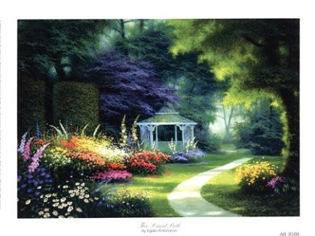 Tree Lined Path Hot on Sale