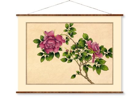 Rose Flower (18th Century)  Illustration Art Ready to Hang Colorful Flower Drawing Antique Wall Decor Roll Down Canvas Scroll Discount