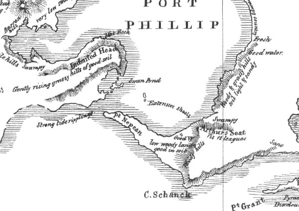 1802 Matthew Flinders Map of Port Phillip Online Sale