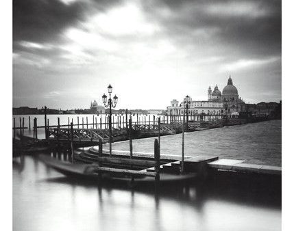 Venice Dream I Supply