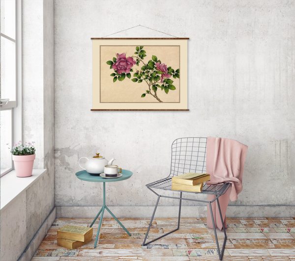 Rose Flower (18th Century)  Illustration Art Ready to Hang Colorful Flower Drawing Antique Wall Decor Roll Down Canvas Scroll Discount