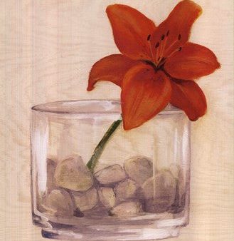 Red Flower In Bowl With Rocks Online