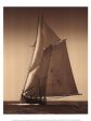 Under Sail I Online Hot Sale