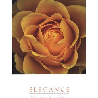 Elegance - Peach Rose Online