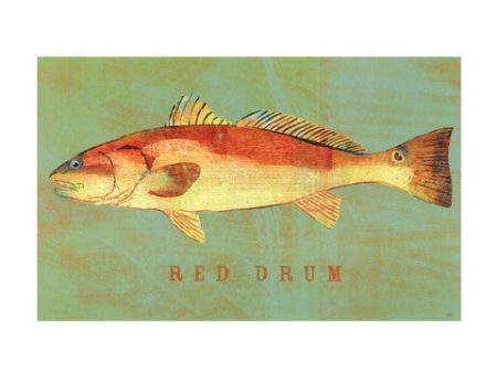 Red Drum Online Sale