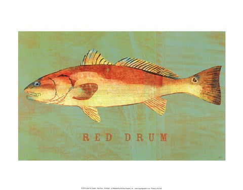 Red Drum Online Sale