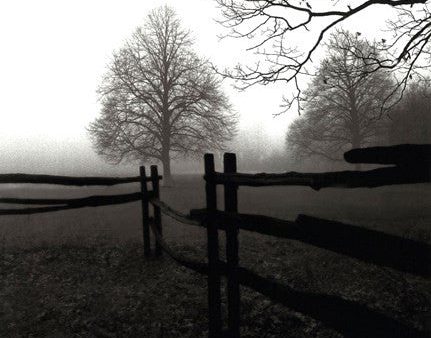 Fence in the Mist Hot on Sale