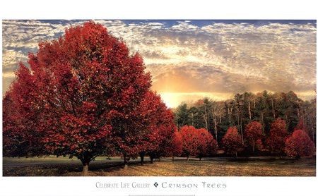 Crimson Trees Sale