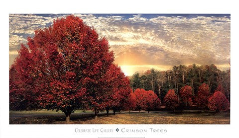 Crimson Trees Sale