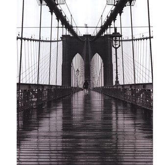 Brooklyn Bridge Online