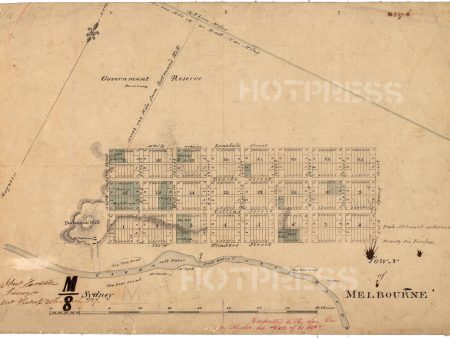 1837 Hoddle s Town of Melbourne Map Cheap