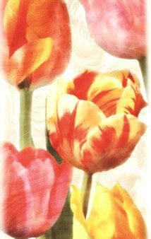 Glowing Tulips II For Discount