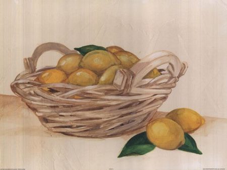 Basket Of Lemons Hot on Sale