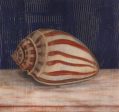 Striped Shell For Discount