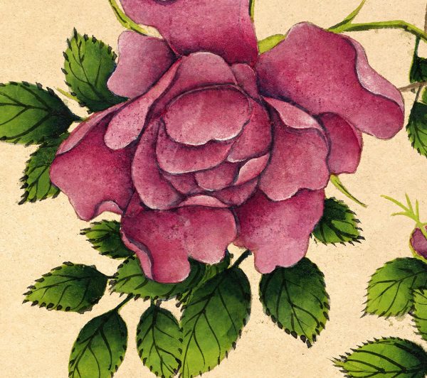 Rose Flower (18th Century)  Illustration Art Ready to Hang Colorful Flower Drawing Antique Wall Decor Roll Down Canvas Scroll Discount