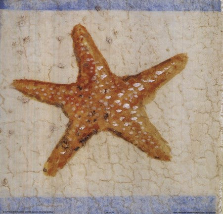 Starfish Cheap