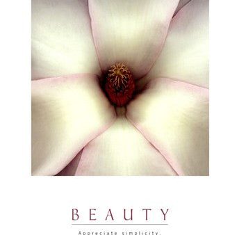 Beauty - White Magnolia Online Hot Sale