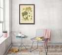 Ferula Galbaniflua Vintage Medical Botanicals Antique Plant and Herb Drawings Kitchen Art Decorative Print BUY 3 Get 4th PRINT FREE Online now