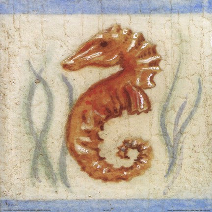 Seahorse For Cheap