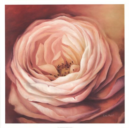 Rose Portrait on Sale